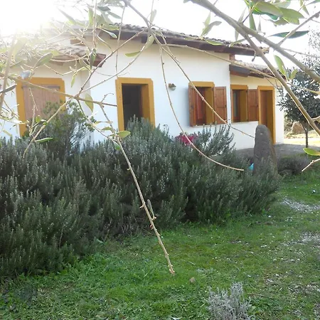 Фермерский дом Agriturismo Su Nuratolu